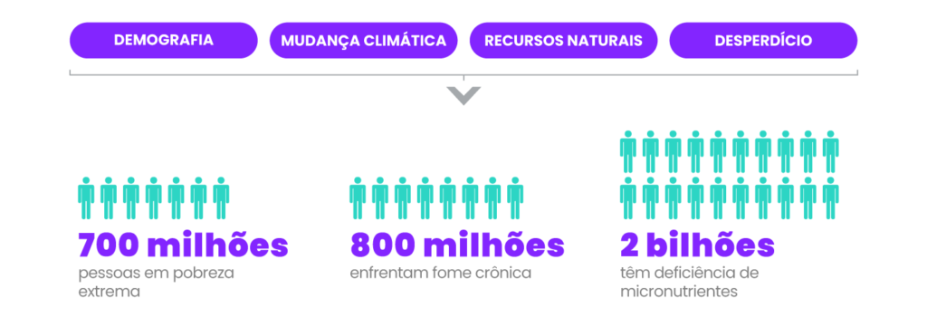 números relativos à fome e desnutrição
